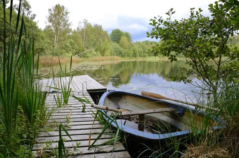 ::::::::LIKE:::::::: - 992846542396255796147747078666n.jpg